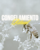 ✨Congelamiento: Recupera la conexión con tu persona