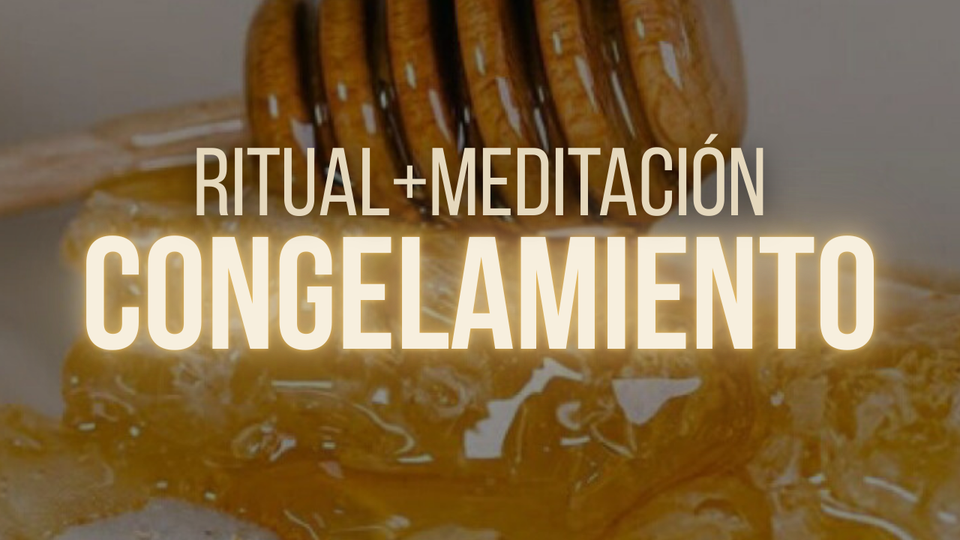 ✨Congelamiento: Recupera la conexión con tu persona