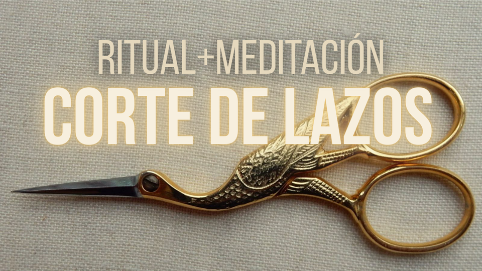 ✨Congelamiento: Recupera la conexión con tu persona